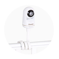 Prikaži podrobnosti za Chipolino varuška APOLLO Slika Chipolino varuška APOLLO