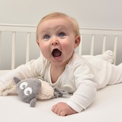 Prikaži podrobnosti za Sweet Dreamers Ewan Snuggly ninica SIVA Slika Sweet Dreamers Ewan Snuggly ninica SIVA