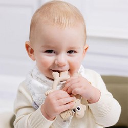 Prikaži podrobnosti za Bibado Senzorično grizalo Dinozaver Dotty - Fawn Slika Bibado Senzorično grizalo Dinozaver Dotty - Fawn