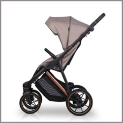 Slika za kategorijo Športni voziček RIKO